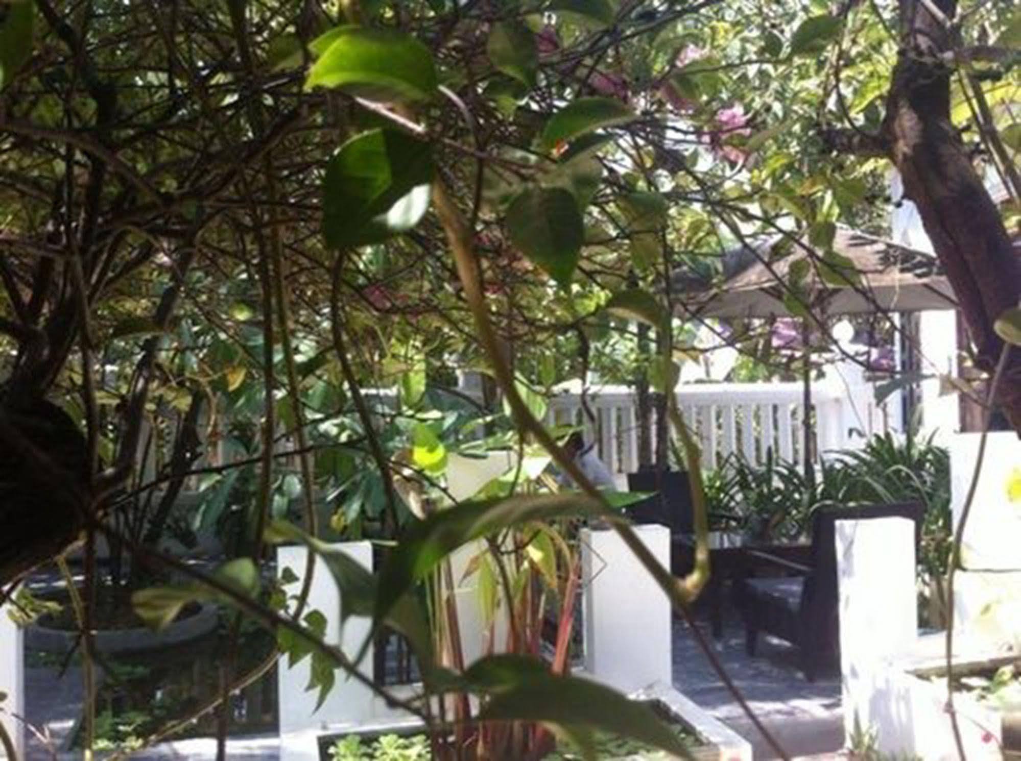 Eocambo Villa Siem Reap Exterior foto